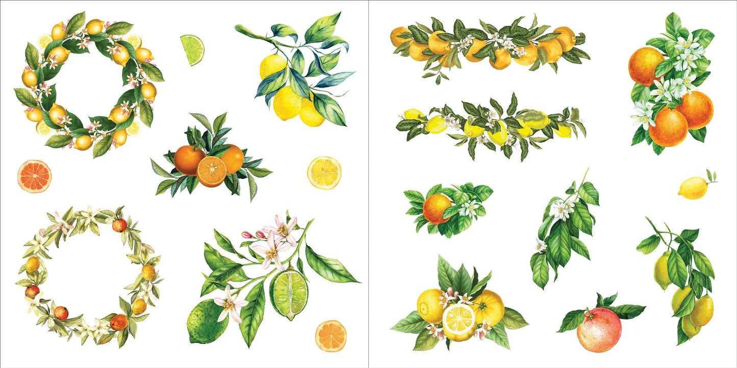 Bunches of Botanicals Sticker Book