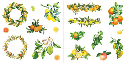 Bunches of Botanicals Sticker Book
