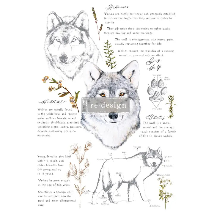 Re-Design with Prima Décor Transfers 24"x35" - Gray Wolf