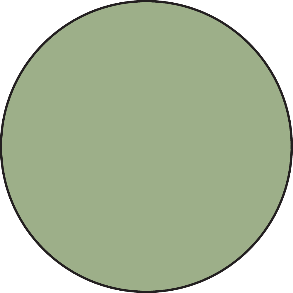 Ranger Distress Oxides Ink Pad - Bundled Sage