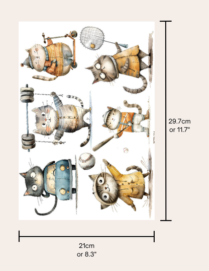 Wet Transfers A4- Quirky Kitties