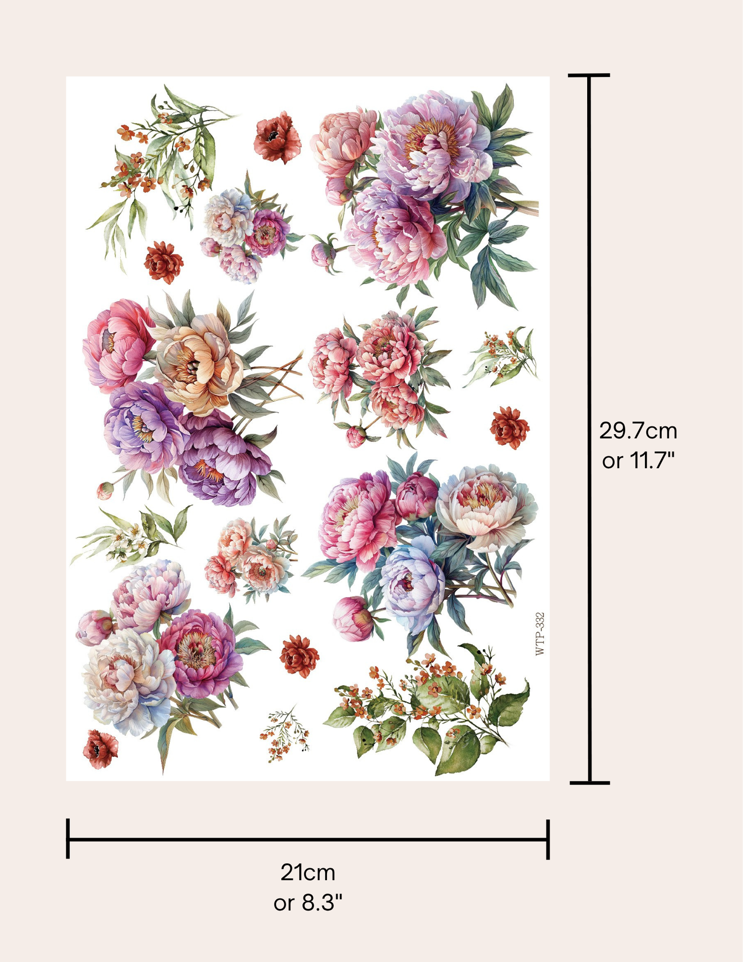 Wet Transfers A4- Plenty of Peonies