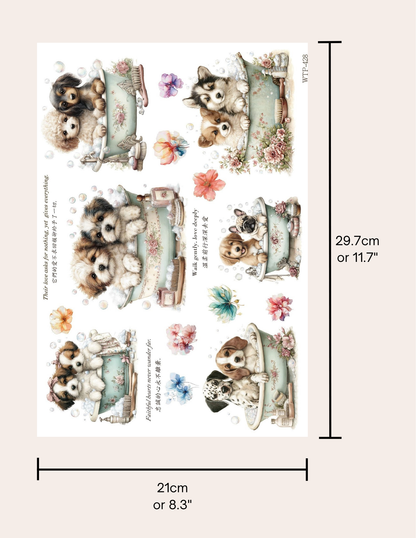 Wet Transfers A4- Puppy Bath Time