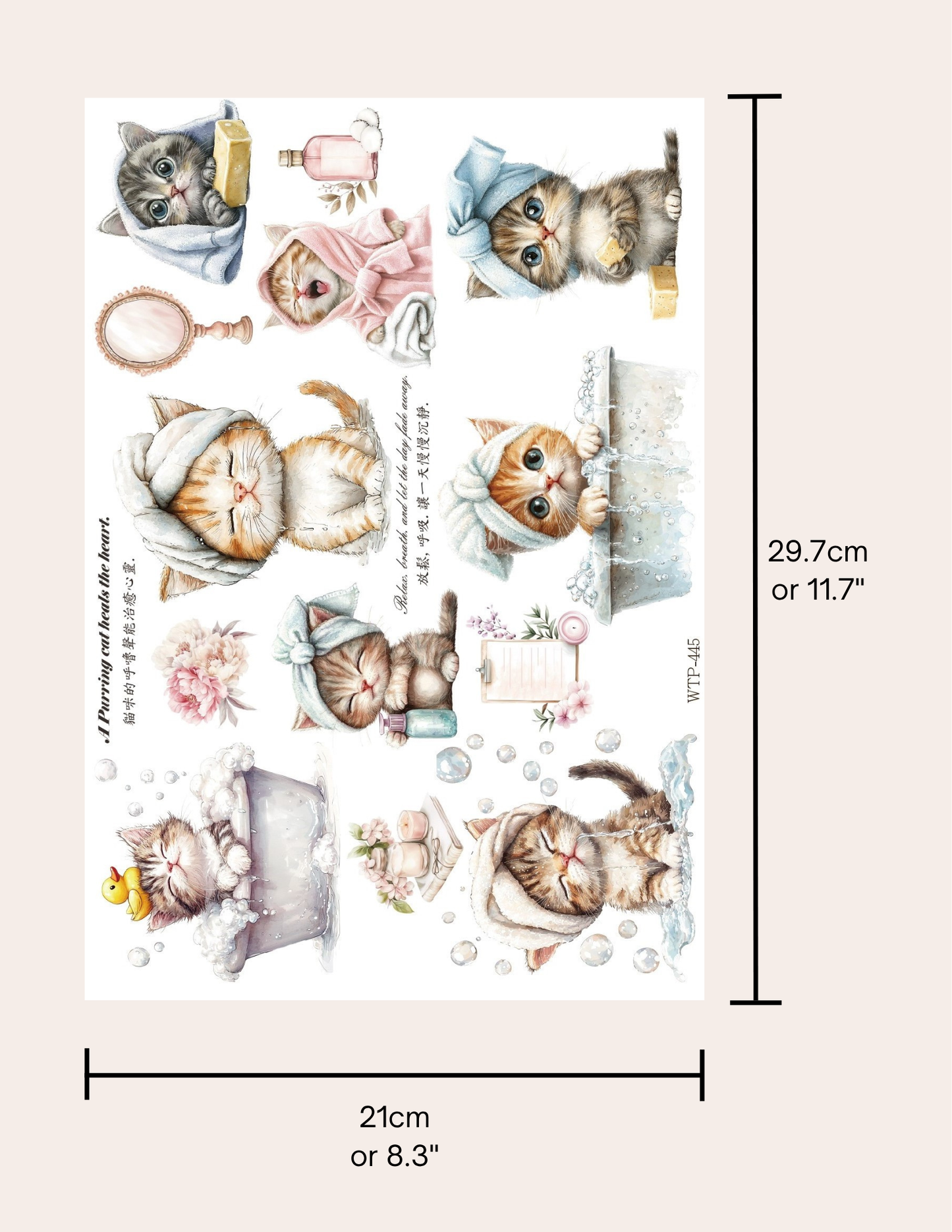Wet Transfers A4- Pampered Kittens