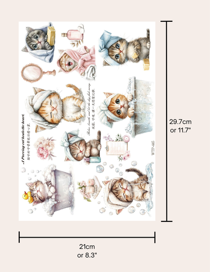 Wet Transfers A4- Pampered Kittens