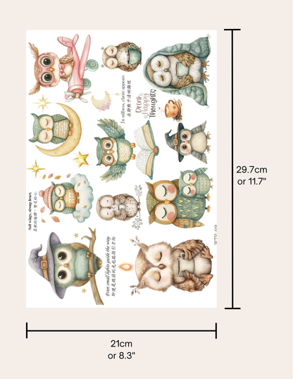 Wet Transfers A4- Sleepy Owls