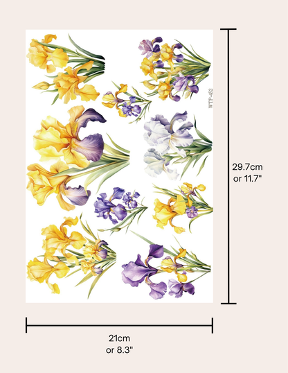 Wet Transfers A4- Irises