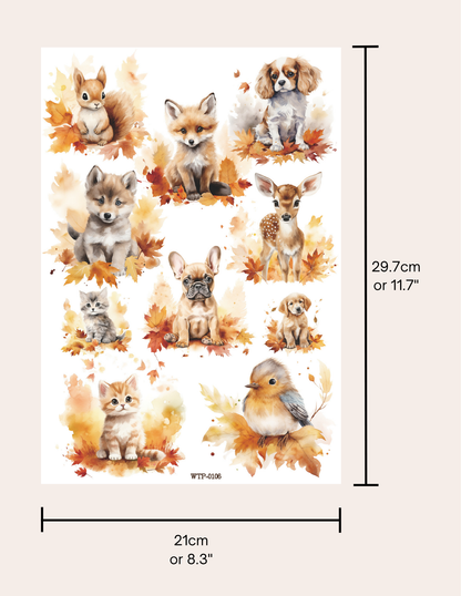 Wet Transfers A4- Baby Animals in Autumn