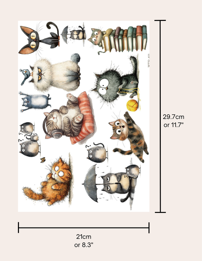 Wet Transfers A4- Funny Cats