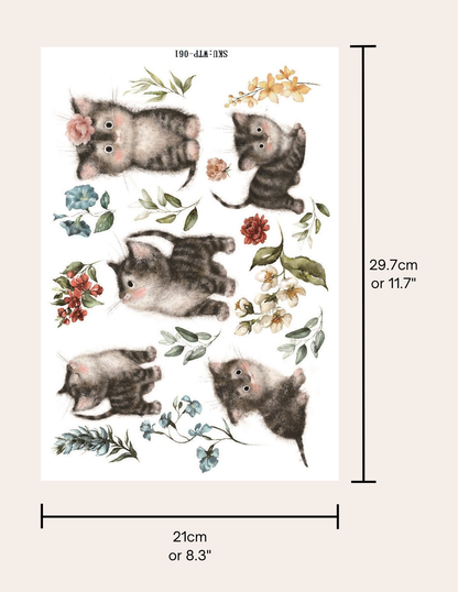 Wet Transfers A4- Tabby Kittens