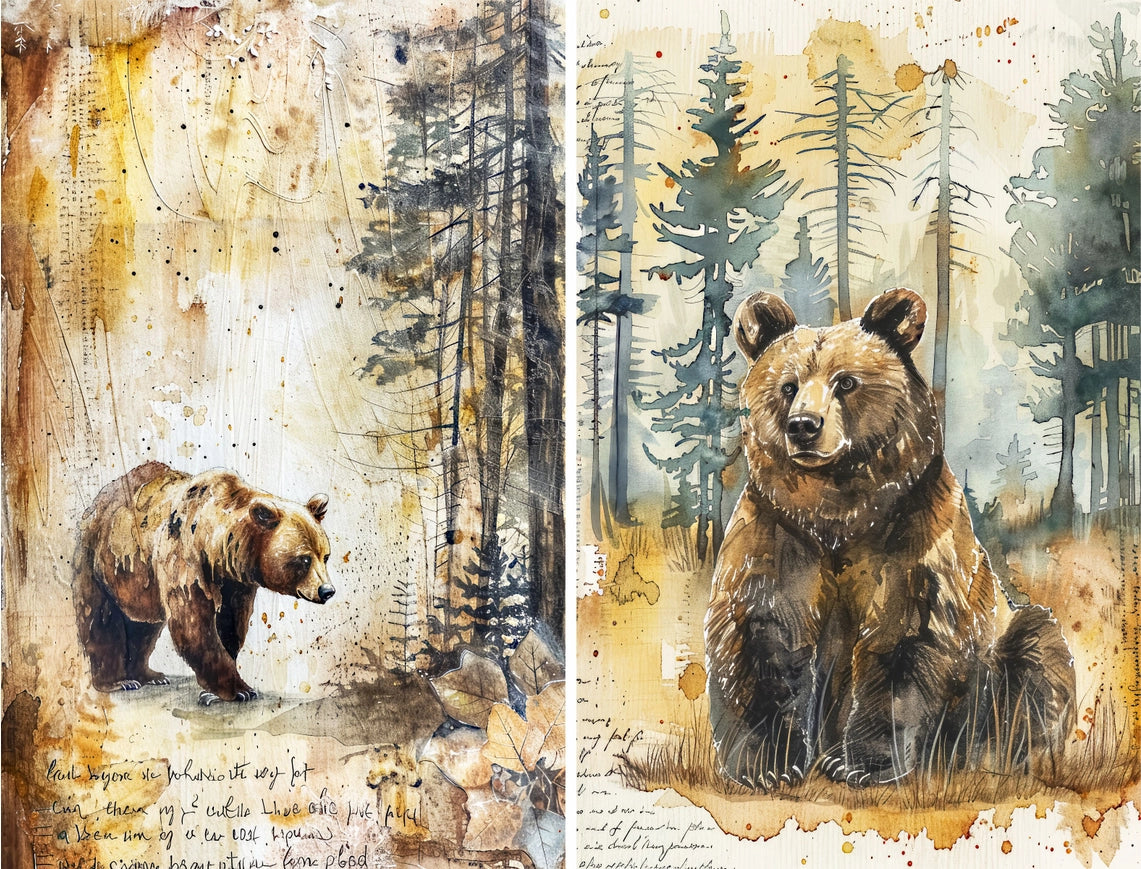 Craft Kreatively Rice Paper A4 Value Pack of 6 - Bears