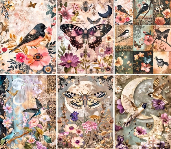 Craft Kreatively Rice Paper A4 Value Pack of 6 - Birds N Butterflies