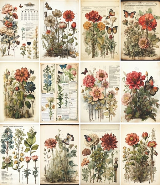 Craft Kreatively Rice Paper A4 Value Pack of 6 - Botanical Pages