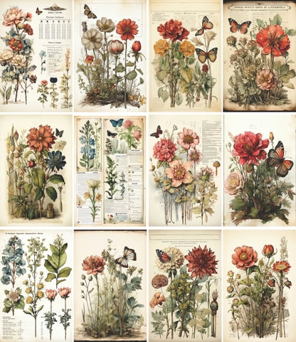 Craft Kreatively Rice Paper A4 Value Pack of 6 - Botanical Pages