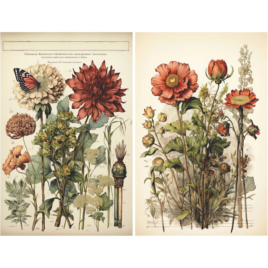 Craft Kreatively Rice Paper A4 Value Pack of 6 - Botanical Pages