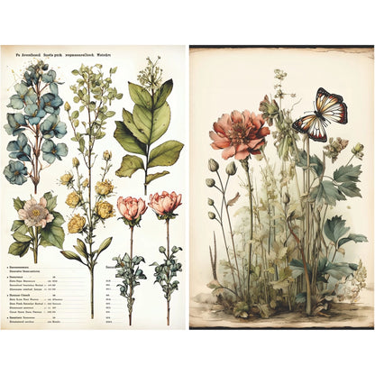 Craft Kreatively Rice Paper A4 Value Pack of 6 - Botanical Pages