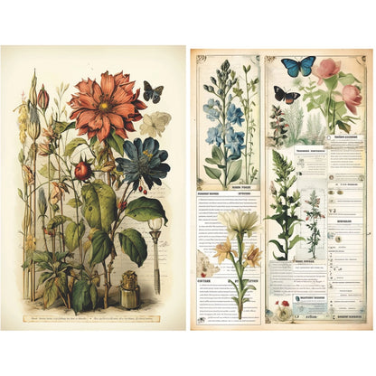 Craft Kreatively Rice Paper A4 Value Pack of 6 - Botanical Pages