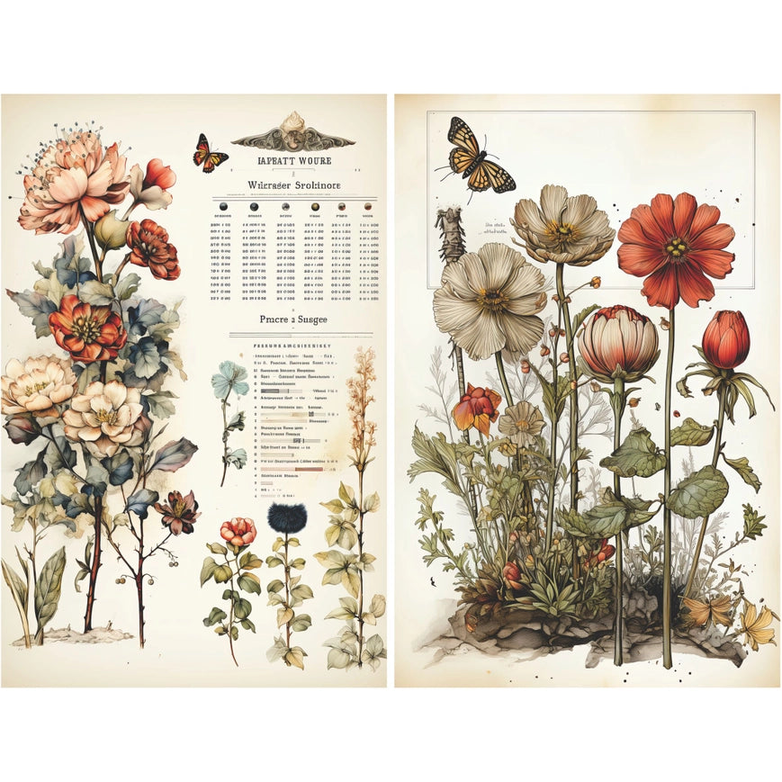 Craft Kreatively Rice Paper A4 Value Pack of 6 - Botanical Pages