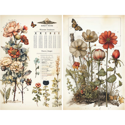 Craft Kreatively Rice Paper A4 Value Pack of 6 - Botanical Pages