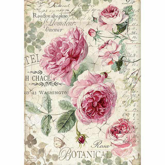 Stamperia Rice Paper A4 - Botanic English Roses