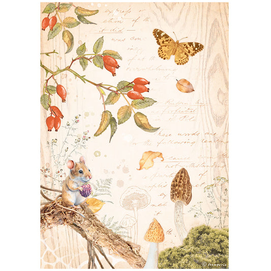 Stamperia Rice Paper A4 - Woodland Butterfly
