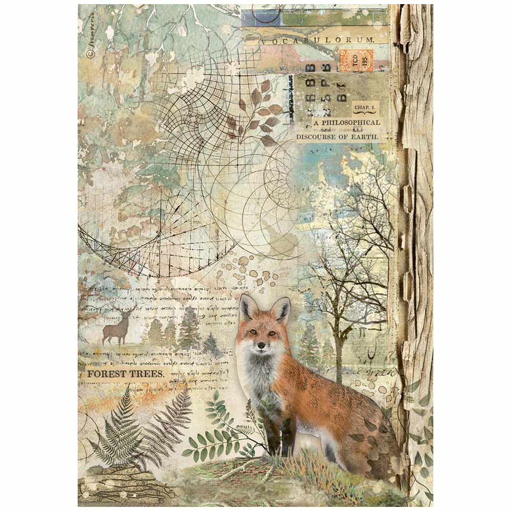 Stamperia Rice Paper A4 - Forest, Fox