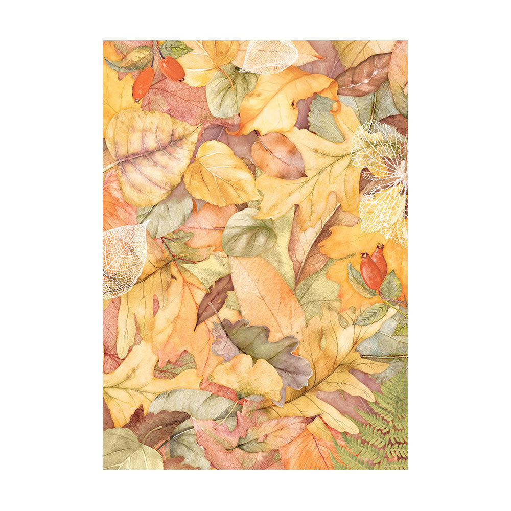 Stamperia Rice Paper A6 Value Pack Backgrounds- Woodland