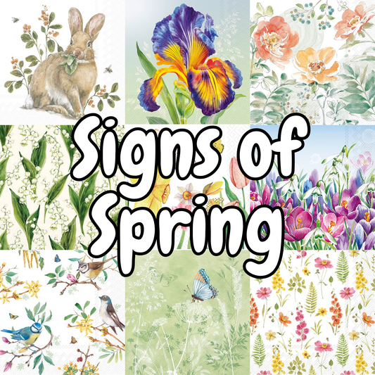 Decoupage Napkin Value Bundle - Signs of Spring