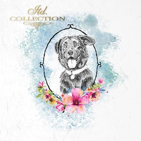 Decoupage Mini Rice Paper Set - Animal Portraits