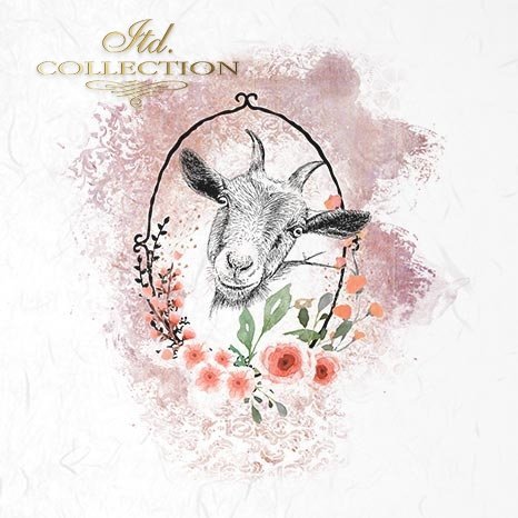 Decoupage Mini Rice Paper Set - Animal Portraits II