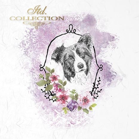 Decoupage Mini Rice Paper Set - Animal Portraits II