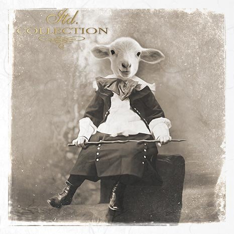 Decoupage Mini Rice Paper Set - Animals in Costume