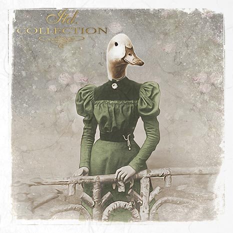 Decoupage Mini Rice Paper Set - Animals in Costume II