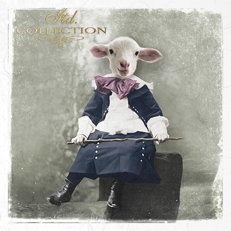 Decoupage Mini Rice Paper Set - Animals in Costume II