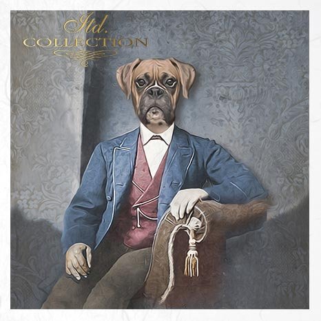 Decoupage Mini Rice Paper Set - Animals in Costume III