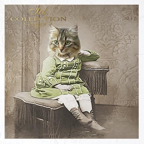 Decoupage Mini Rice Paper Set - Animals in Costume III