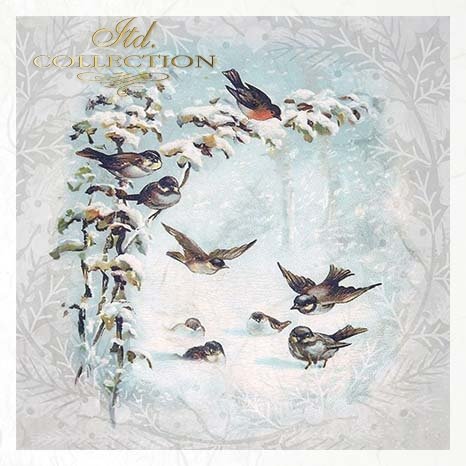 Decoupage Mini Rice Paper Set - Birds