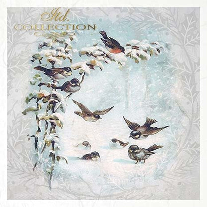 Decoupage Mini Rice Paper Set - Birds