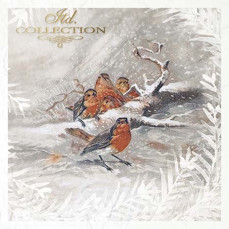 Decoupage Mini Rice Paper Set - Birds