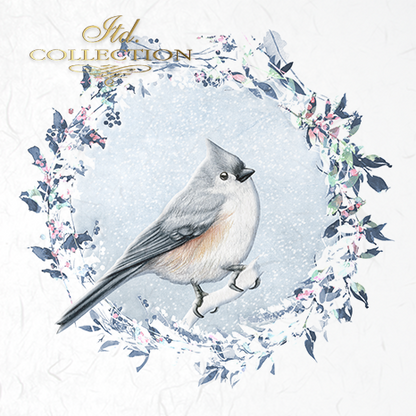 Decoupage Mini Rice Paper Set - Birds with Frost
