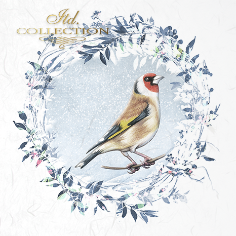 Decoupage Mini Rice Paper Set - Birds with Frost