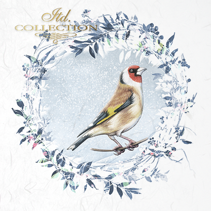 Decoupage Mini Rice Paper Set - Birds with Frost