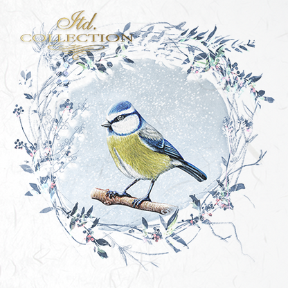 Decoupage Mini Rice Paper Set - Birds with Frost