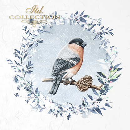 Decoupage Mini Rice Paper Set - Birds with Frost