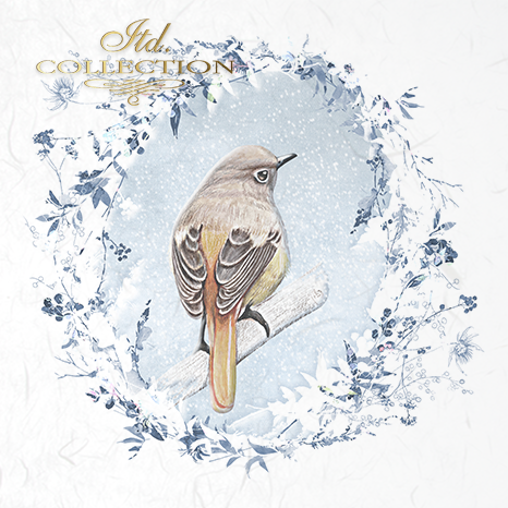 Decoupage Mini Rice Paper Set - Birds with Frost II