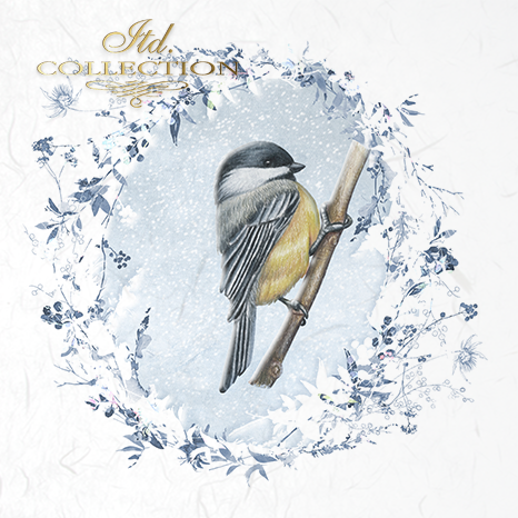 Decoupage Mini Rice Paper Set - Birds with Frost II