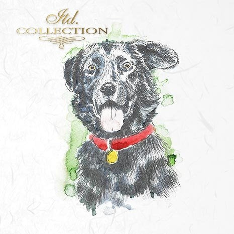 Decoupage Mini Rice Paper Set - Cats and Dogs