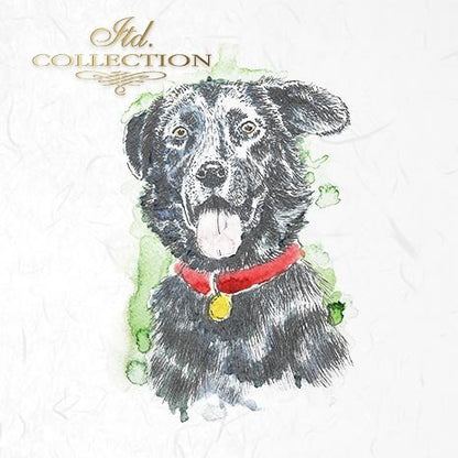 Decoupage Mini Rice Paper Set - Cats and Dogs