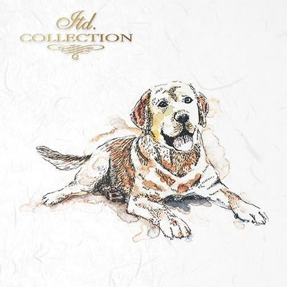 Decoupage Mini Rice Paper Set - Cats and Dogs