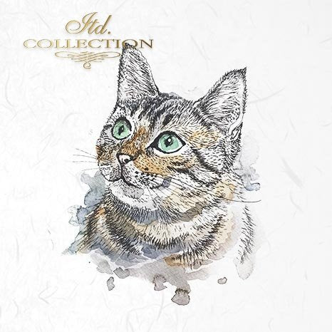 Decoupage Mini Rice Paper Set - Cats and Dogs